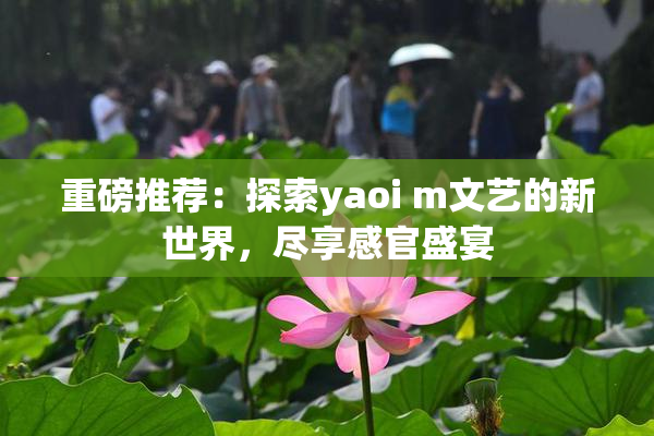 重磅推荐：探索yaoi m文艺的新世界，尽享感官盛宴