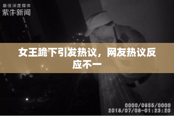 女王跪下引发热议，网友热议反应不一