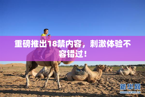 重磅推出18禁内容，刺激体验不容错过！