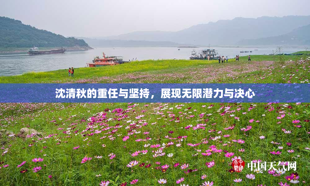 沈清秋的重任与坚持，展现无限潜力与决心