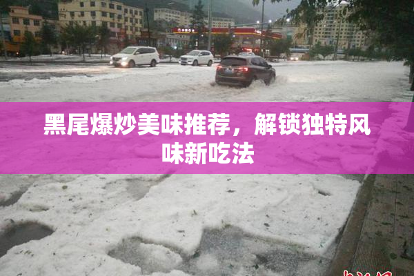 黑尾爆炒美味推荐，解锁独特风味新吃法