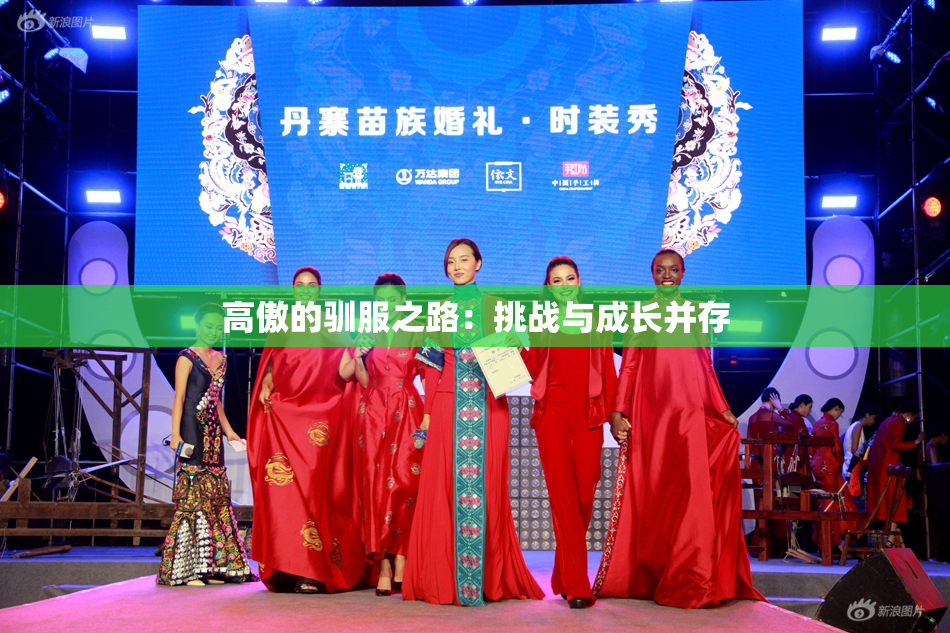 高傲的驯服之路：挑战与成长并存