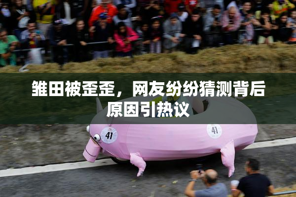 雏田被歪歪，网友纷纷猜测背后原因引热议