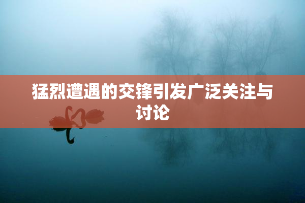 猛烈遭遇的交锋引发广泛关注与讨论