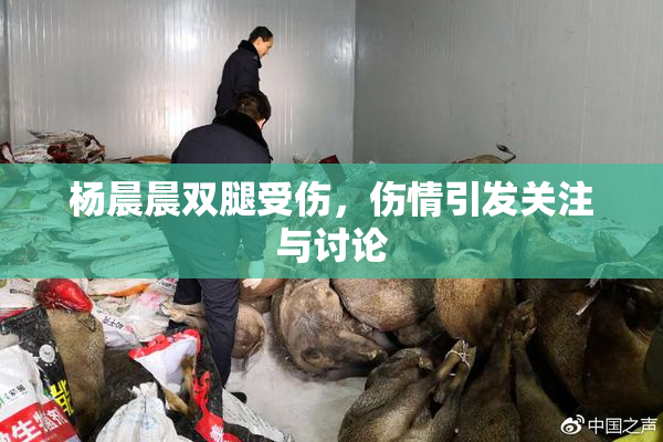 杨晨晨双腿受伤，伤情引发关注与讨论