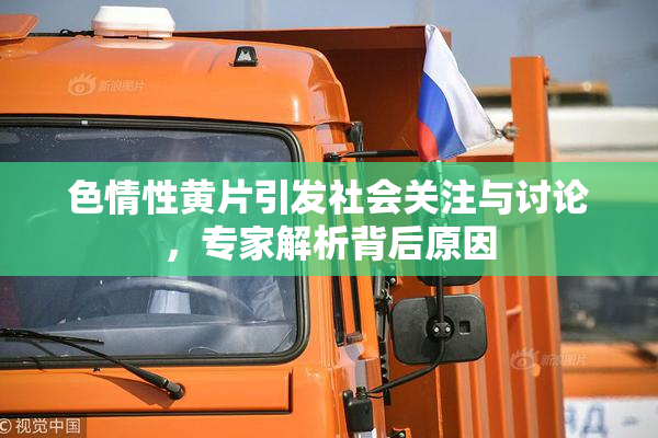 色情性黄片引发社会关注与讨论，专家解析背后原因