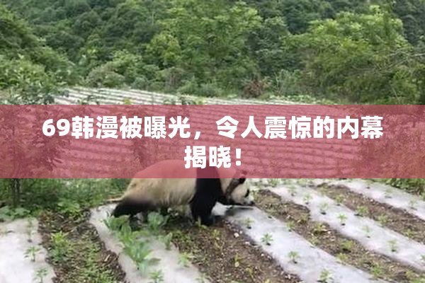 69韩漫被曝光，令人震惊的内幕揭晓！