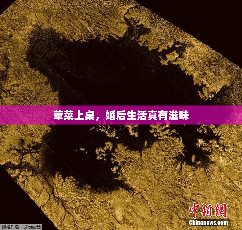 荤菜上桌，婚后生活真有滋味