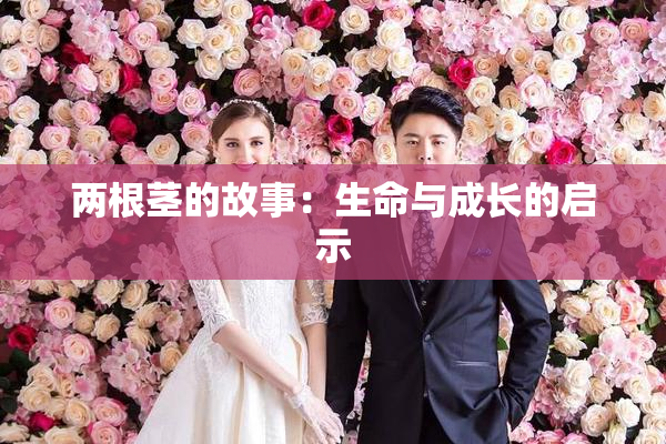 两根茎的故事：生命与成长的启示