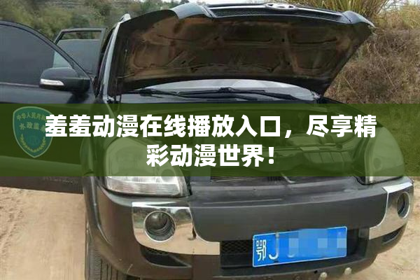 羞羞动漫在线播放入口，尽享精彩动漫世界！