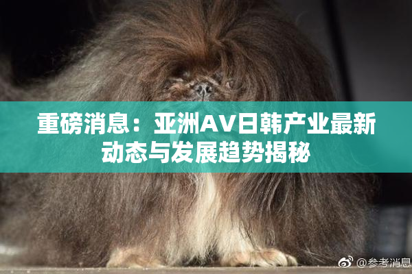 重磅消息：亚洲AV日韩产业最新动态与发展趋势揭秘