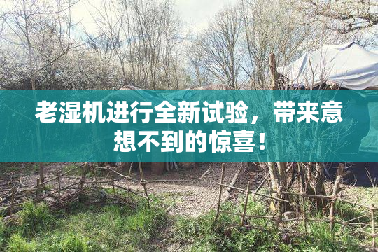 老湿机进行全新试验，带来意想不到的惊喜！
