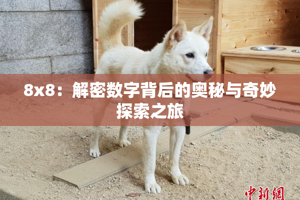 8x8：解密数字背后的奥秘与奇妙探索之旅