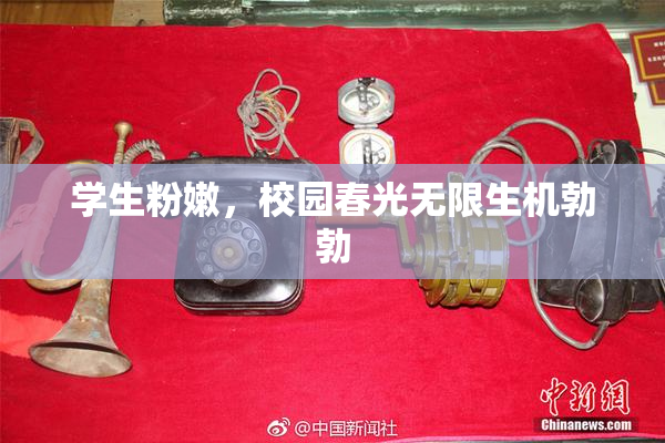 学生粉嫩，校园春光无限生机勃勃
