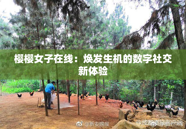 樱樱女子在线：焕发生机的数字社交新体验