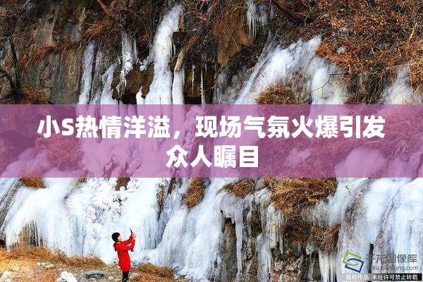 小S热情洋溢，现场气氛火爆引发众人瞩目
