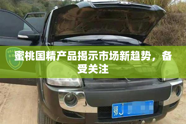 蜜桃国精产品揭示市场新趋势，备受关注