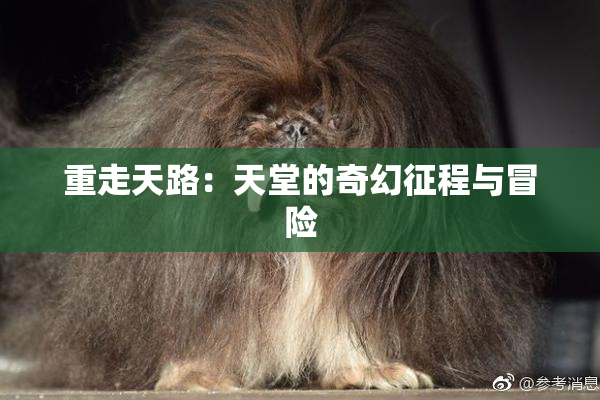 重走天路：天堂的奇幻征程与冒险