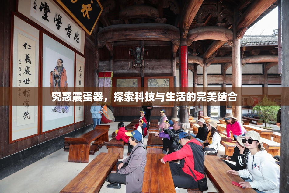 究惑震蛋器，探索科技与生活的完美结合