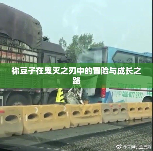 祢豆子在鬼灭之刃中的冒险与成长之路