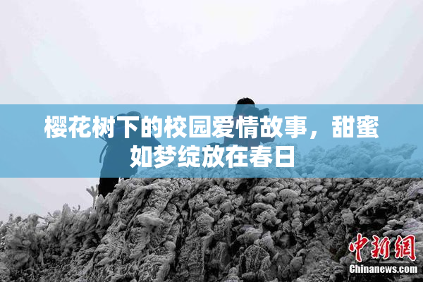 樱花树下的校园爱情故事，甜蜜如梦绽放在春日