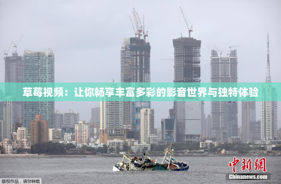 草莓视频：让你畅享丰富多彩的影音世界与独特体验