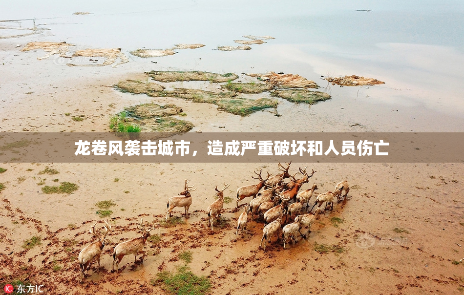 龙卷风袭击城市，造成严重破坏和人员伤亡