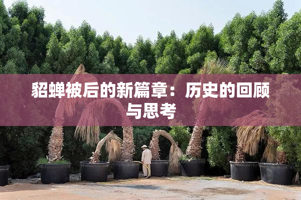 貂蝉被后的新篇章：历史的回顾与思考