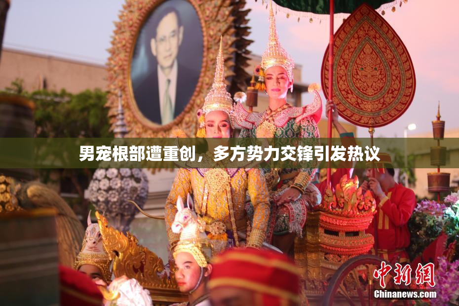 男宠根部遭重创，多方势力交锋引发热议