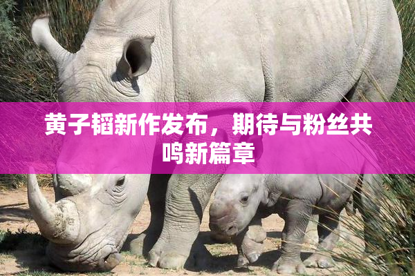 黄子韬新作发布，期待与粉丝共鸣新篇章