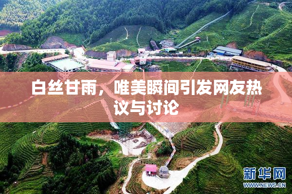 白丝甘雨，唯美瞬间引发网友热议与讨论