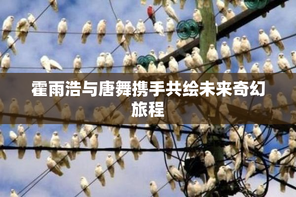 霍雨浩与唐舞携手共绘未来奇幻旅程