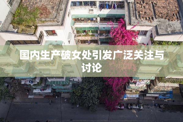 国内生产破女处引发广泛关注与讨论