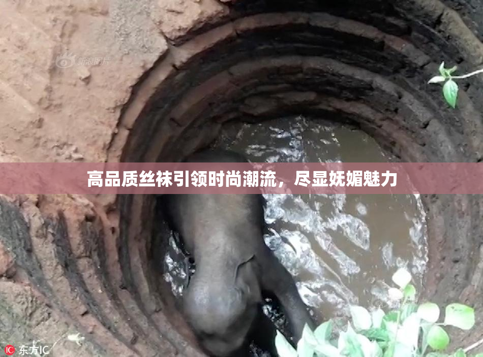 高品质丝袜引领时尚潮流，尽显妩媚魅力