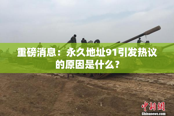 重磅消息：永久地址91引发热议的原因是什么？