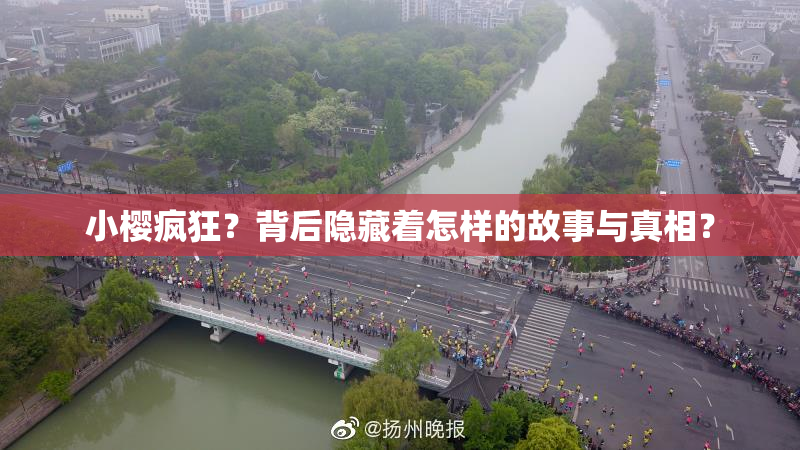小樱疯狂？背后隐藏着怎样的故事与真相？