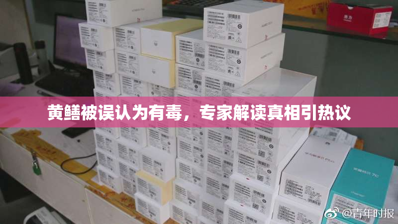 黄鳝被误认为有毒，专家解读真相引热议