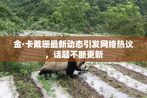 金·卡戴珊最新动态引发网络热议，话题不断更新