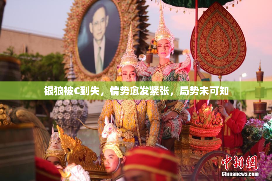 银狼被C到失，情势愈发紧张，局势未可知