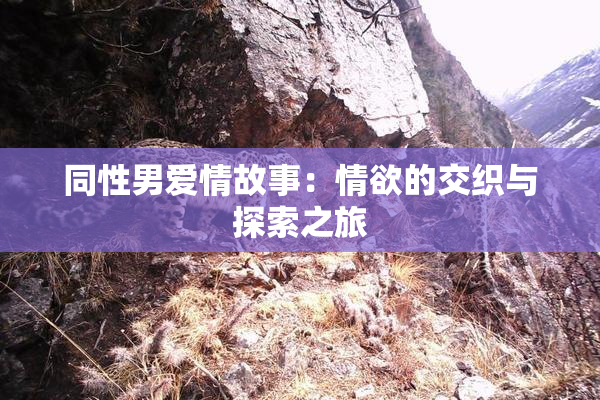 同性男爱情故事：情欲的交织与探索之旅