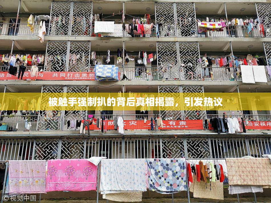 被触手强制扒的背后真相揭露，引发热议