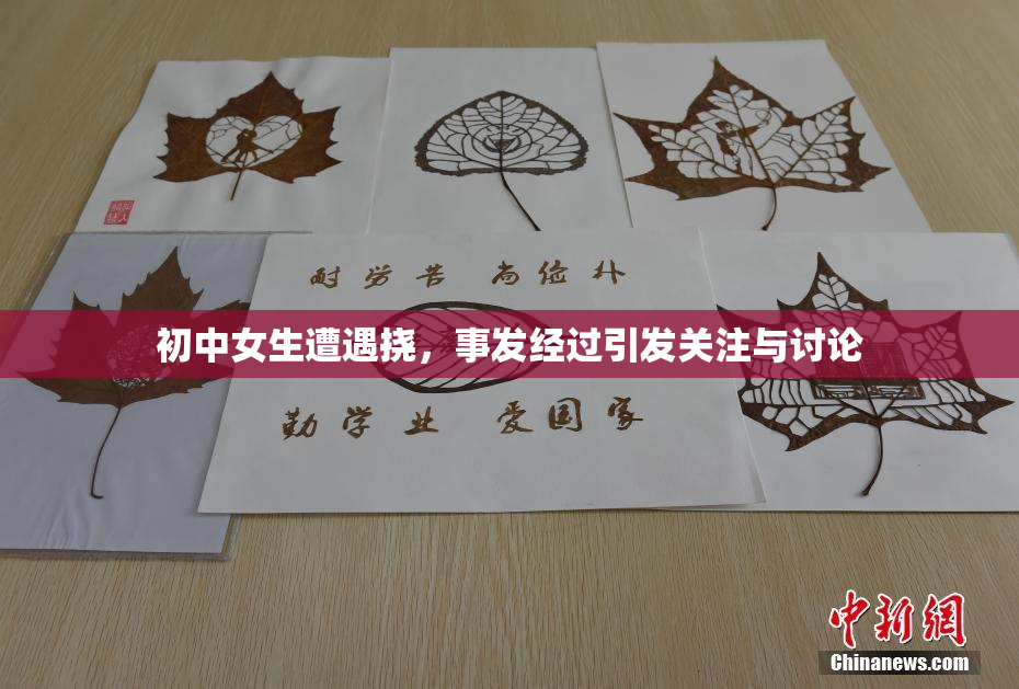 初中女生遭遇挠，事发经过引发关注与讨论