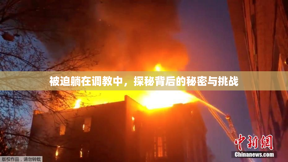 被迫躺在调教中，探秘背后的秘密与挑战