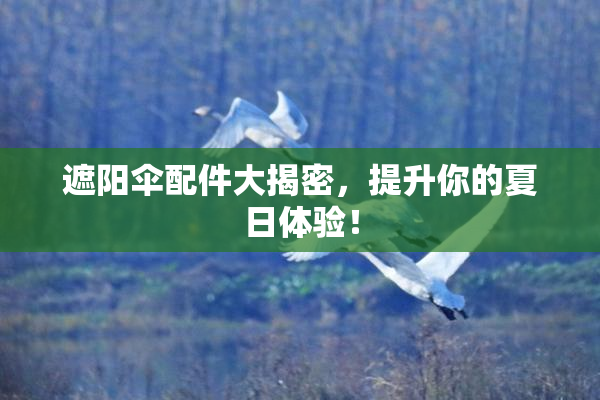 遮阳伞配件大揭密，提升你的夏日体验！