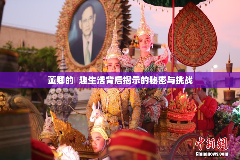 董卿的婬趣生活背后揭示的秘密与挑战