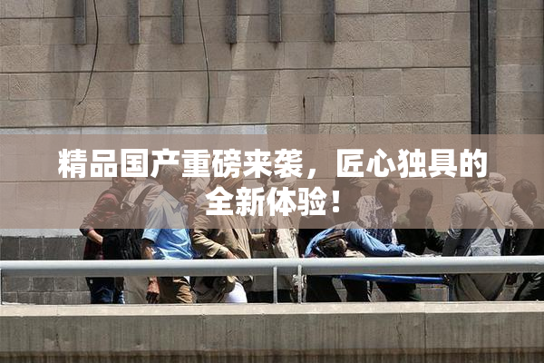 精品国产重磅来袭，匠心独具的全新体验！