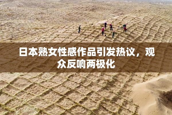 日本熟女性感作品引发热议，观众反响两极化