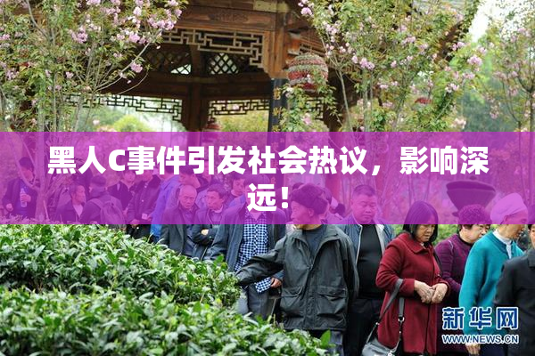 黑人C事件引发社会热议，影响深远！