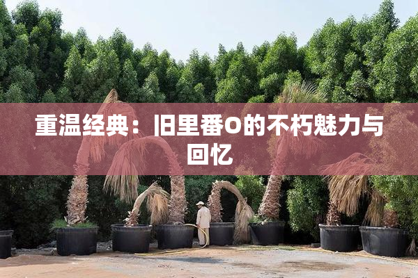 重温经典：旧里番O的不朽魅力与回忆