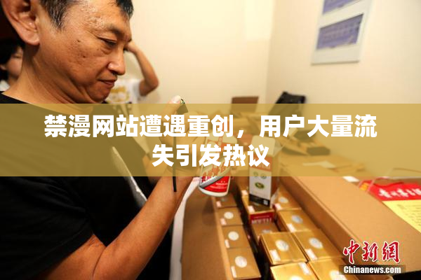 禁漫网站遭遇重创，用户大量流失引发热议